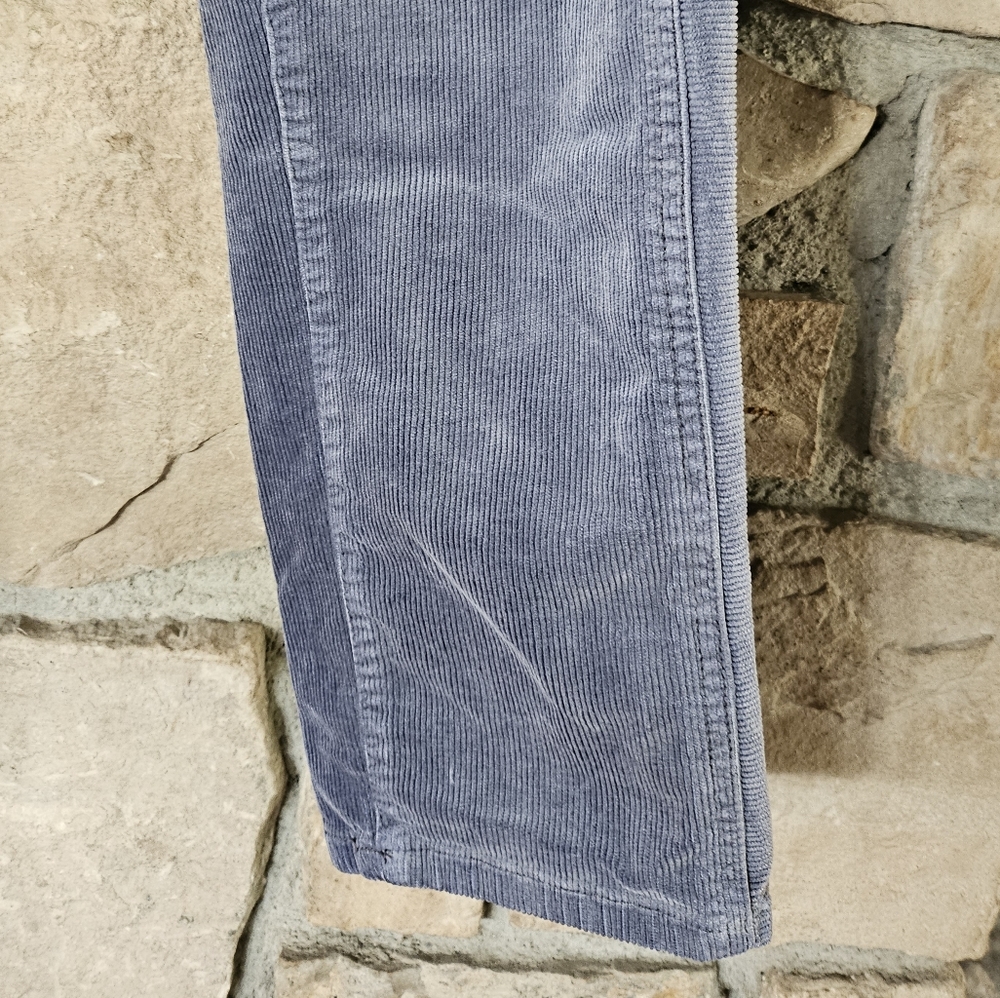 Anthropologie Pilcro Blue Corduroy Pants Size 30 - Picture 6 of 8